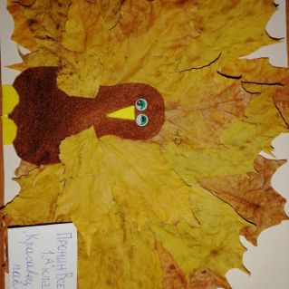 Красавец павлин