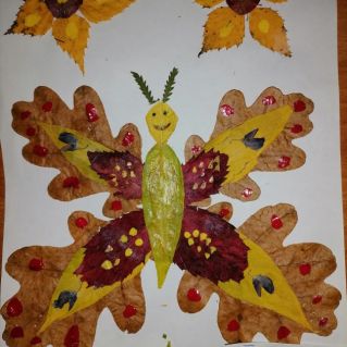 Бабочка в полете