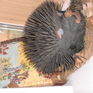 Колючий ёжик