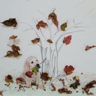 Осень, осень в гости просим