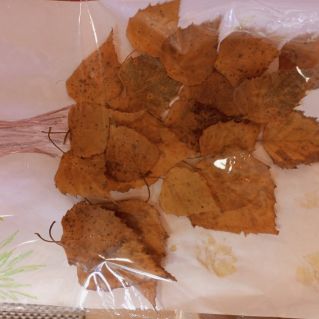 "Осеннее дерево"