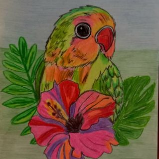 Веселый попугай