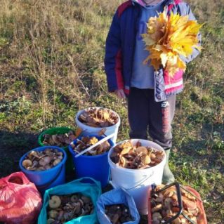 Нашли грибное место