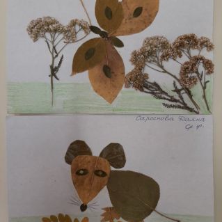 Бабочка и мышка