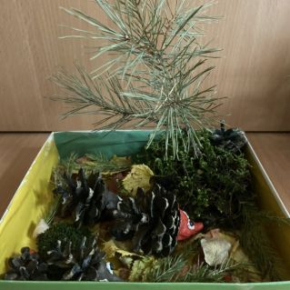 "Ежовая полянка"