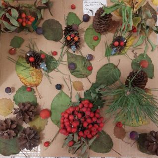 Лесная полянка