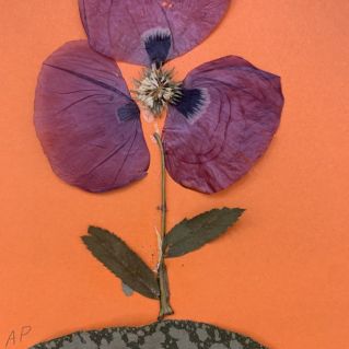 Подарок осени