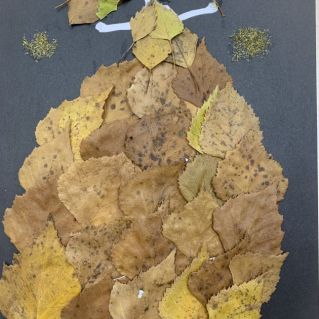 Волшебница - осень