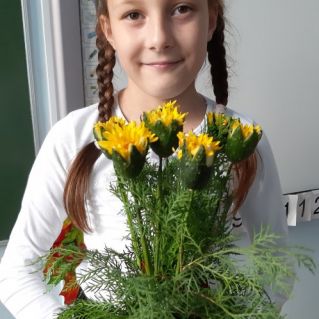 Осенний букет