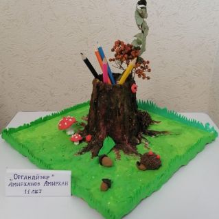 "Органайзер"