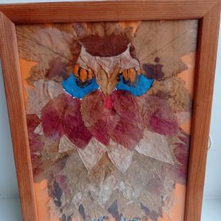 "Мудрая сова"