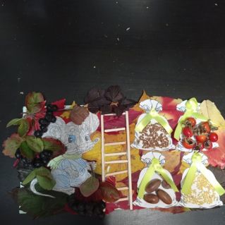 "Мышкина норка"