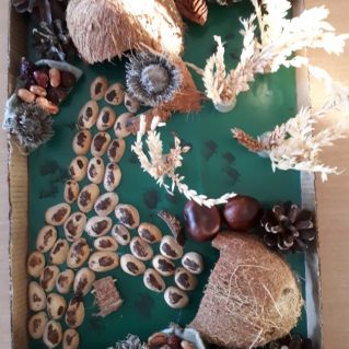 Осенние дорожки