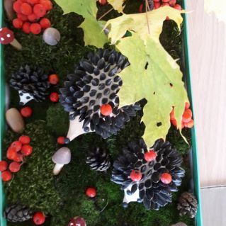 Ежиная семья