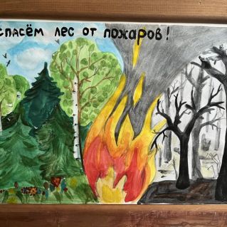 Спасём лес от пожаров!