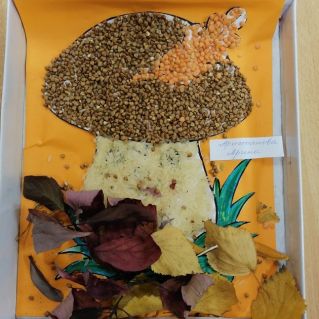 "Белый гриб"