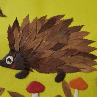 "Какие чудные грибочки"