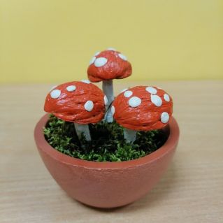 "Мухоморчики"