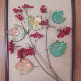 Калина красная