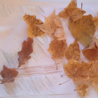 Осень в лесу