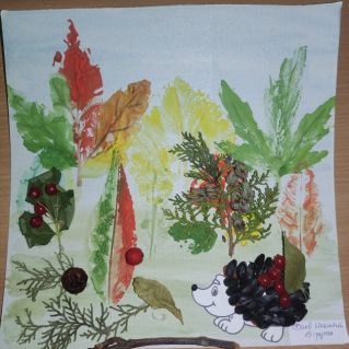 Ёжик в саду