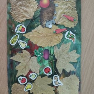 Ёжик на лесной полянке