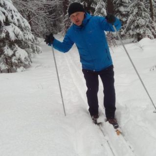 Папа-медведь