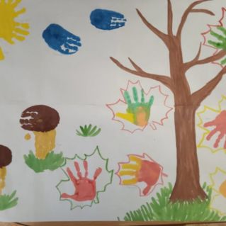 Грибы на поляне