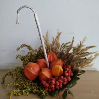 "Осенний зонтик"