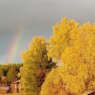 Радуга в гостях у осени