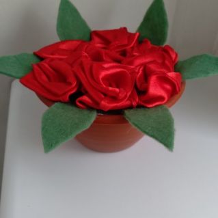 Красные розы.