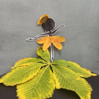 Танец на листочке