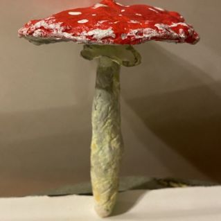 Дары осени. Мухомор.