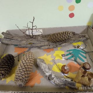 Прогулка по осеннему лесу