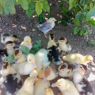 Любимый уголок природы