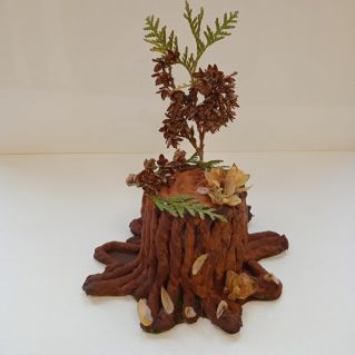 Пенек осенью.