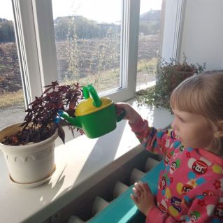 уход за цветами