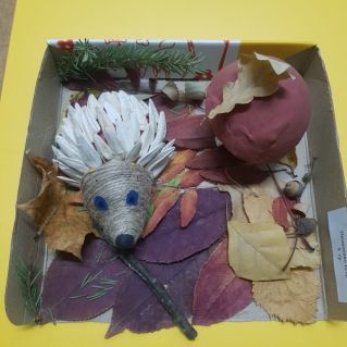 Осень в лесу