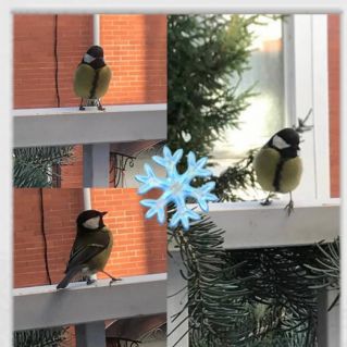 Неожиданная гостья