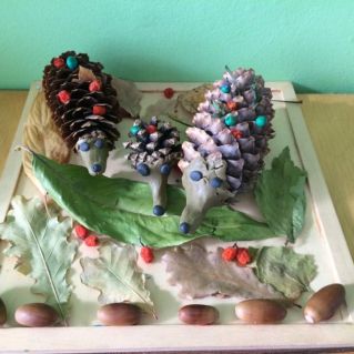 Семейство ежиков