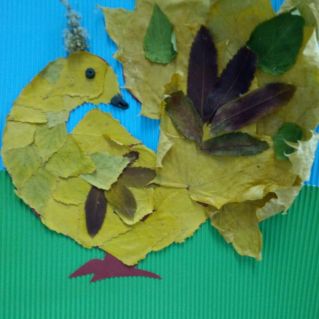 "Жар- птица"