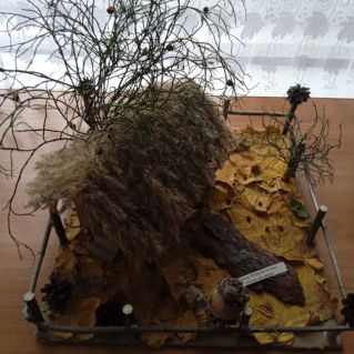 "Осень на дворе"