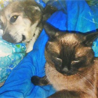 "Джина и Мартин"