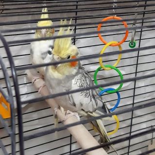 "Маша и Кеша"