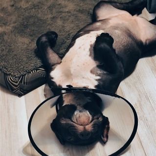 "Джессика-Альба"