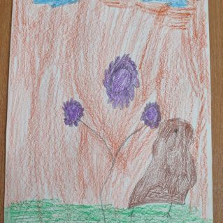 "КРАСОТА ПРИРОДНОЙ ЖИЗНИ"