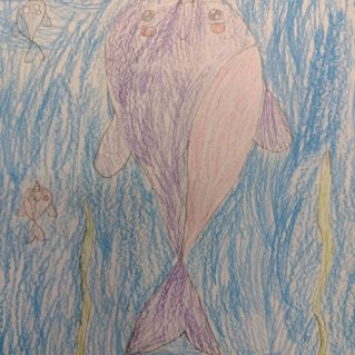 "Берегите китов"