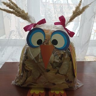 Осенняя Совуня