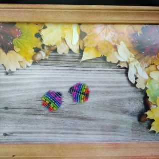 Радужные Божьи коровки