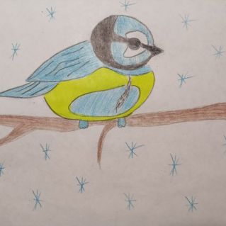 Пернатый друг